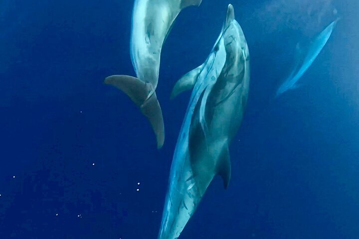 Tropea, Exclusive Boat Tour - Just you and your Family - 4 hours