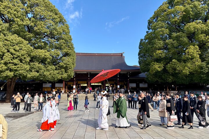 Tokyo Private Custom Tour by Car with Local Guide