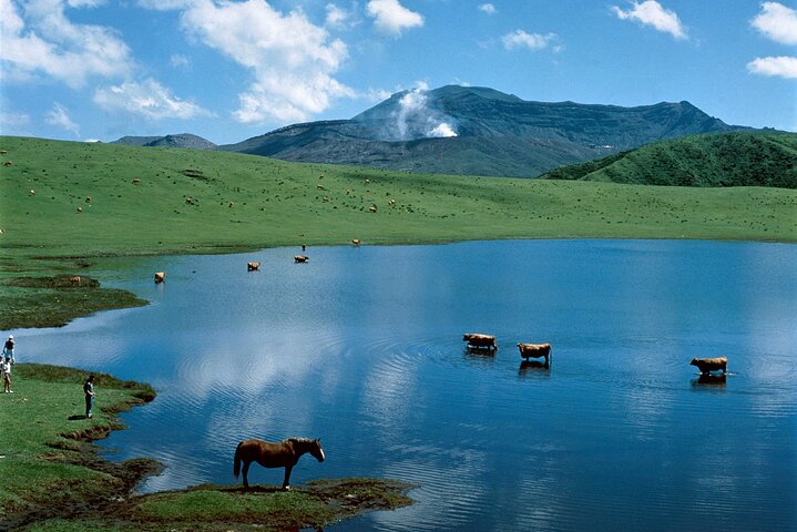 From Kumamoto : Mt.Aso and Takachiho All-inclusive Private Tour