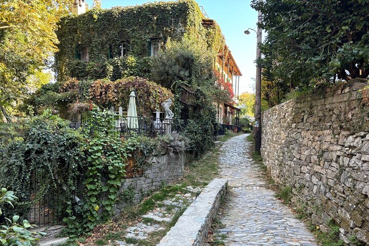 Private Pelion Tour - Tsagkarada and Mylopotamos Beach