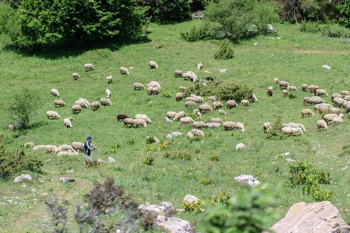 National Park of Mavrovo and Bigorski monastery, from Ohrid