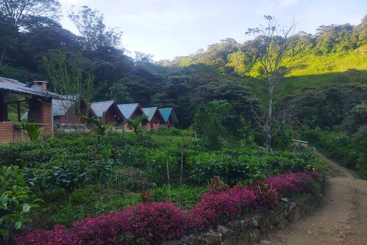 From Kandy All Inclusive Knuckles Overnight Trekking Adventure