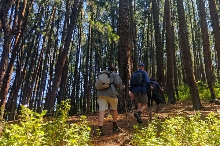 From Kandy All Inclusive Knuckles Overnight Trekking Adventure
