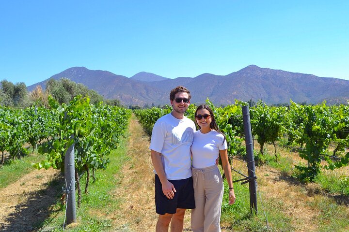 Santiago: Valparaiso, Viña del Mar & Casablanca Wine Tour