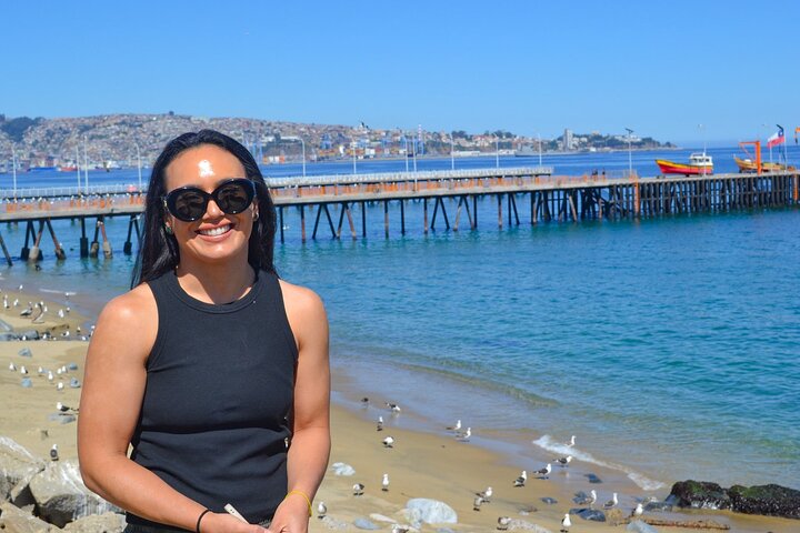 Santiago: Valparaiso, Viña del Mar & Casablanca Wine Tour