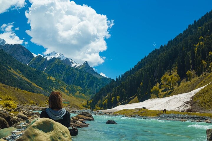 Sonamarg Day Tour to Meadows Glaciers Rivers and Valleys
