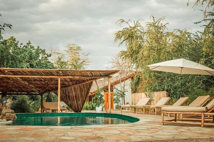 2-Day Private Luxury Safari: Tarangire & Ngorongoro Tanzania