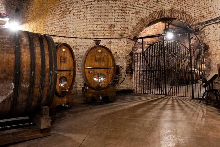 Champagne Cellar tour and tasting