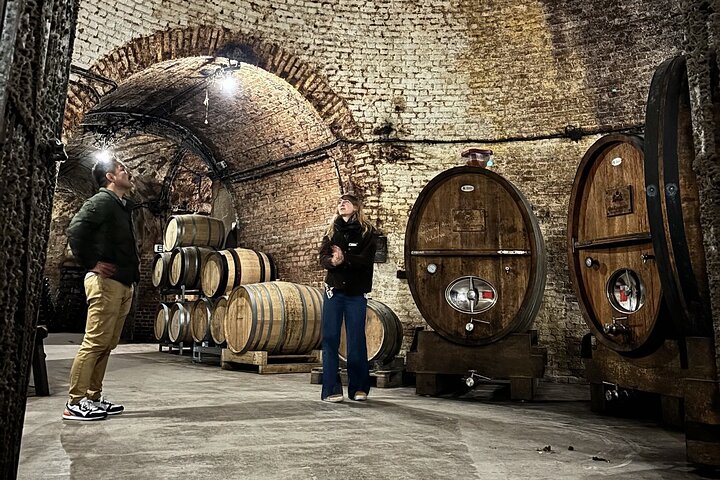 Champagne Cellar tour and tasting