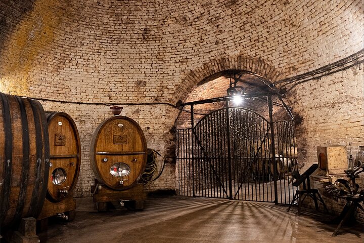Champagne Cellar tour and tasting