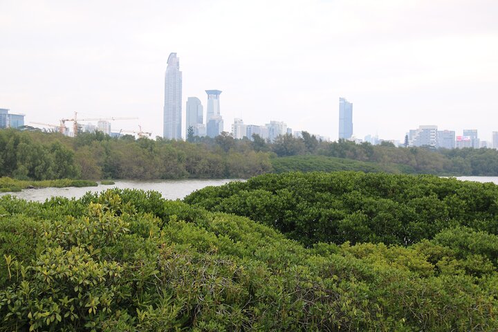 Shenzhen Private Tour with a Local Guide