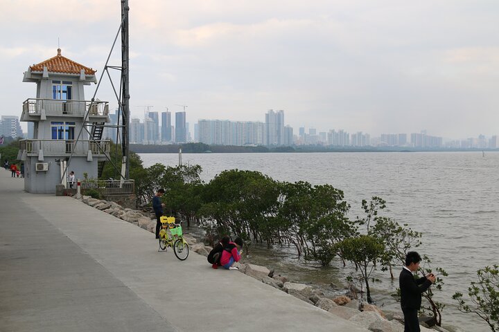 Shenzhen Private Tour with a Local Guide