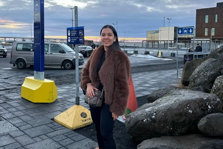 Private Transfer from Keflavik Airport to Reykjavik Cruise Port
