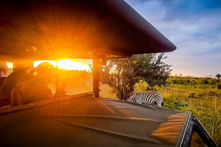 Safari Drive Hluhluwe Imfolozi Park South Africa