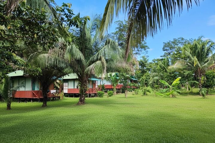 Tambopata. Sandoval lake and parrot clay lick, 3 days 2 nights