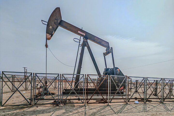 Private Flexible Tour of Bahrain with Local Guide Sadeq