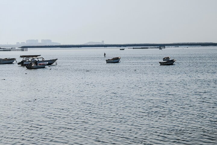 Private Flexible Tour of Bahrain with Local Guide Sadeq