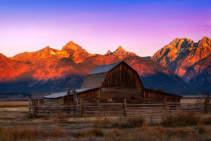 Half-Day Grand Teton Wildlife Safari & Sightseeing Tour