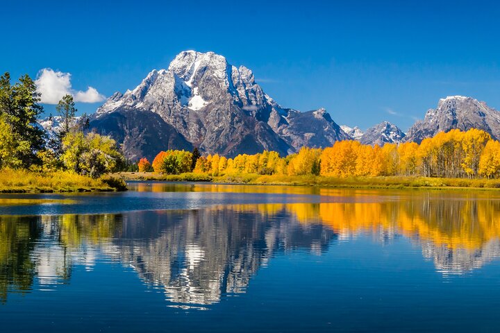 Half-Day Grand Teton Wildlife Safari & Sightseeing Tour