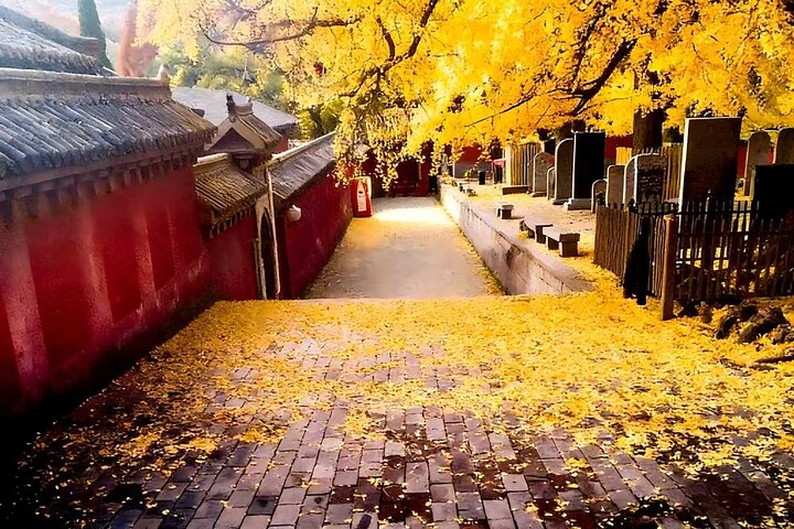 All Inclusive Luoyang Private Day Tour to Shaolin Temple and Longmen Grottoes
