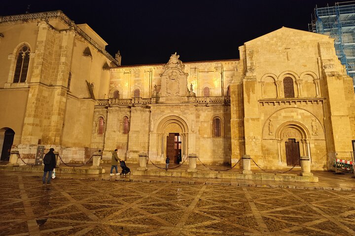 Lion: Private tour in English, Italian or Spanish.