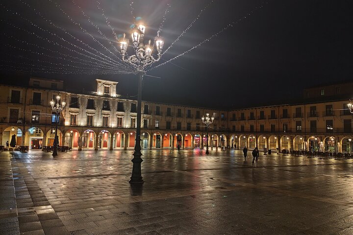 Lion: Private tour in English, Italian or Spanish.