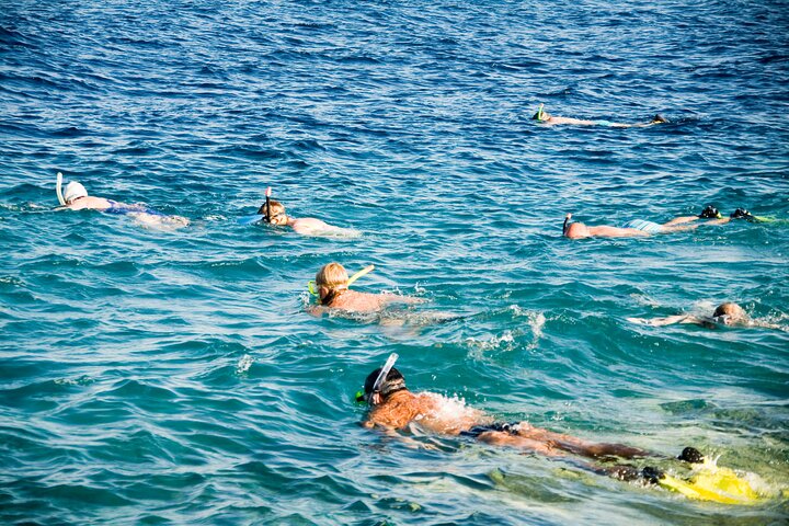 Sharm El Sheikh: White Island & Ras Mohammed Cruise with Lunch