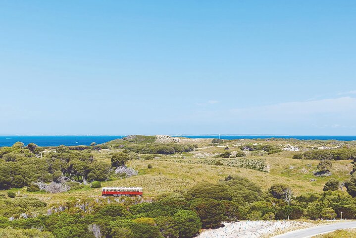 Rottnest Island Oliver Hill Train & Tunnel Tour
