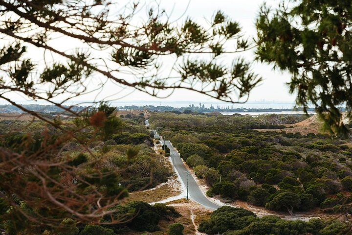 Rottnest Island Bayseeker Tour