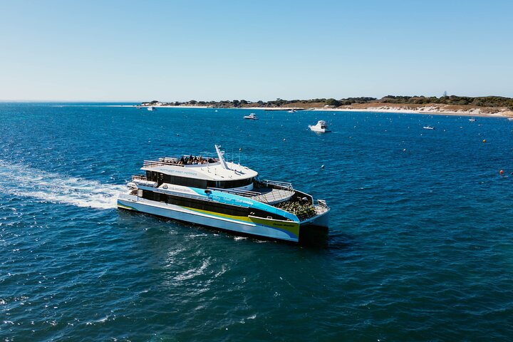 2 hour whale watching experience departing Hillarys Boat Harbour