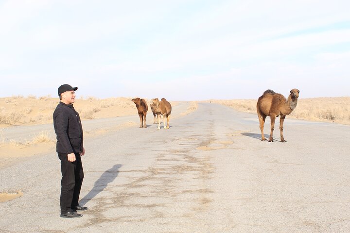 Full Day Guided City Tour of Ashgabat