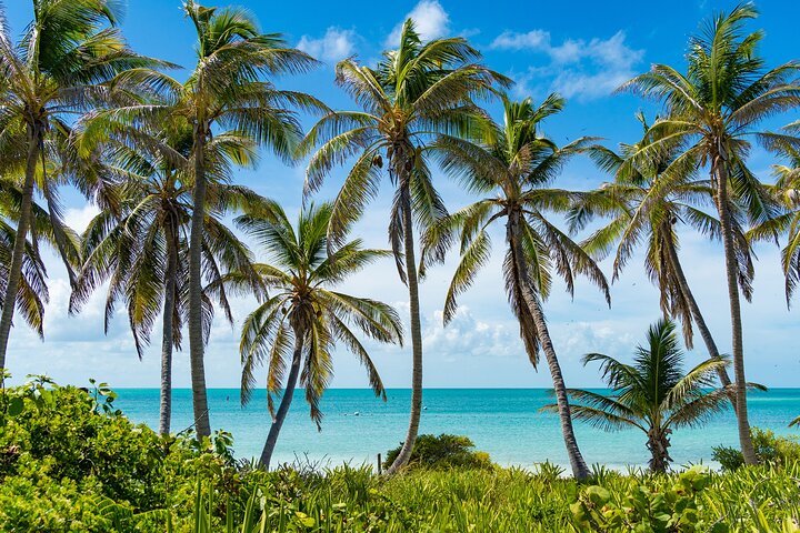 Contoy Island Tour with Untouched Paradise and Beach Day