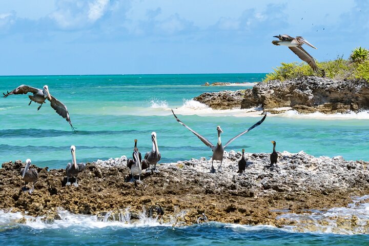 Contoy Island Tour with Untouched Paradise and Beach Day