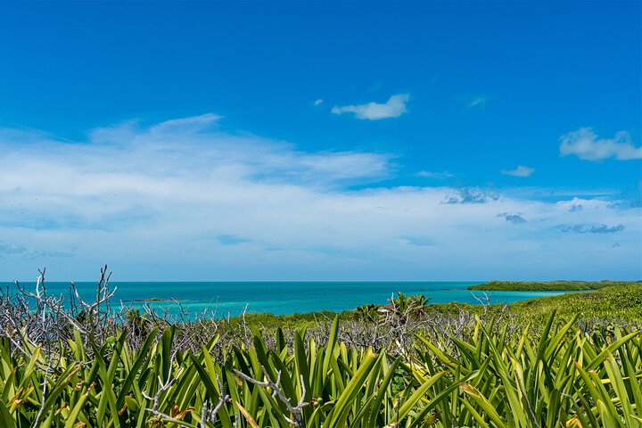 Contoy Island Tour with Untouched Paradise and Beach Day