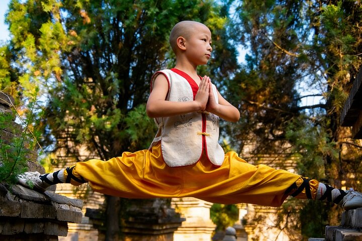 All Inclusive Luoyang Private Day Tour to Shaolin Temple and Longmen Grottoes