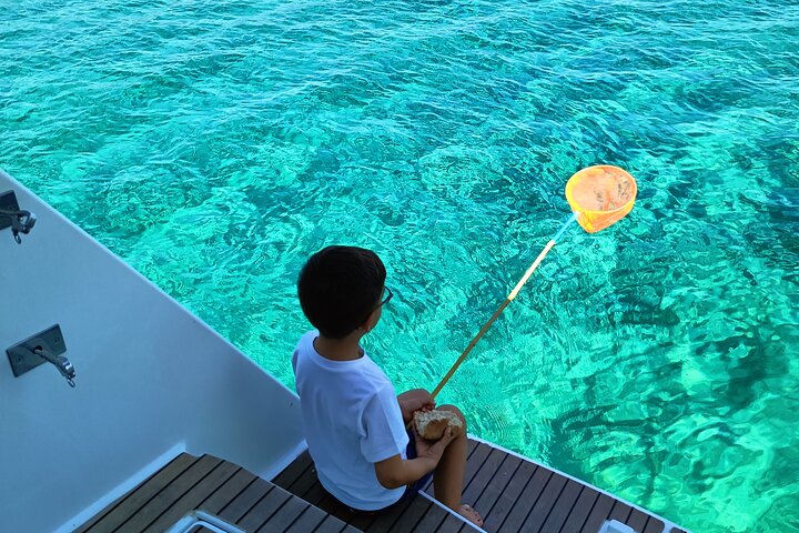 Visit of Marseille and Friuli Archipelago in Catamaran