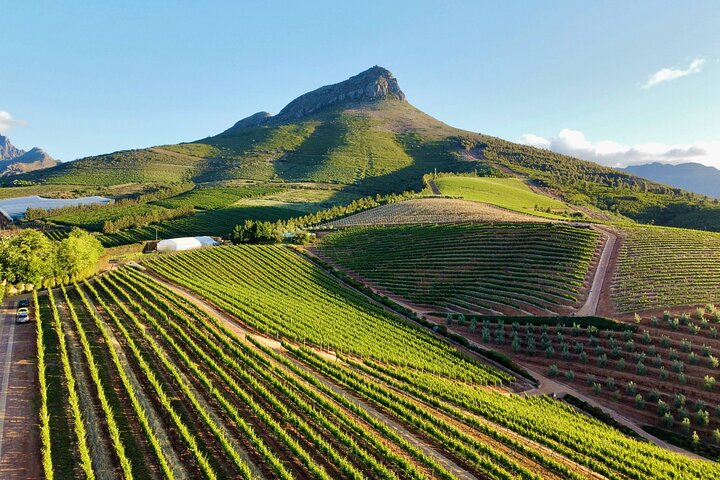 Full‑Day Stellenbosch and Franschhoek Wine Tour from Cape Town