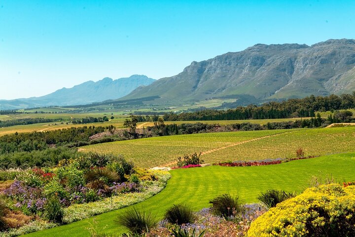 Half-Day Stellenbosch Winelands Tour from Cape Town