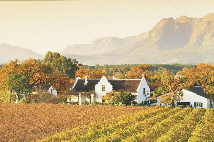 Half-Day Stellenbosch Winelands Tour from Cape Town
