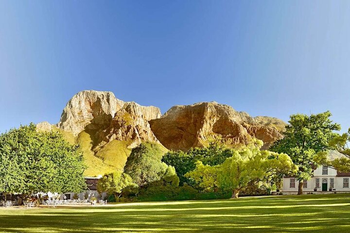 Half-Day Stellenbosch Winelands Tour from Cape Town