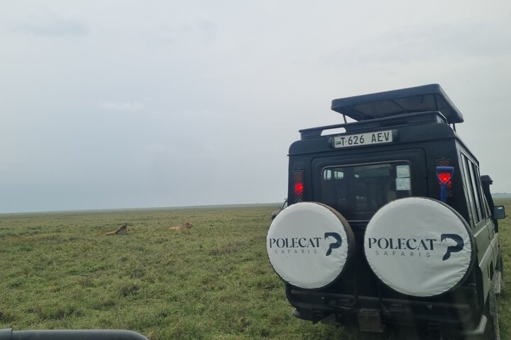2-Day Private Luxury Safari: Tarangire & Ngorongoro Tanzania