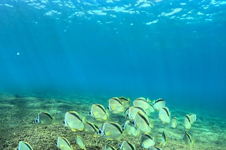 Private Tour 9 Bays of Huatulco to San Agustin + SPORTS FISHING
