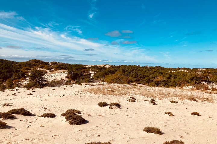 National Seashore Tour with Guided Hike