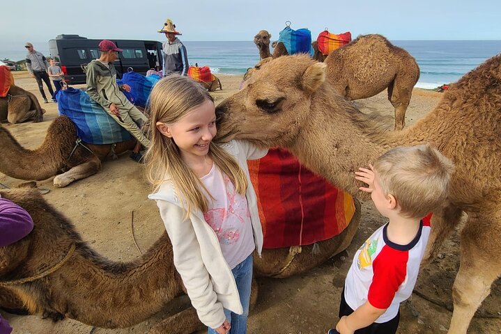 4 Hour private luxury Experience of Tangier
