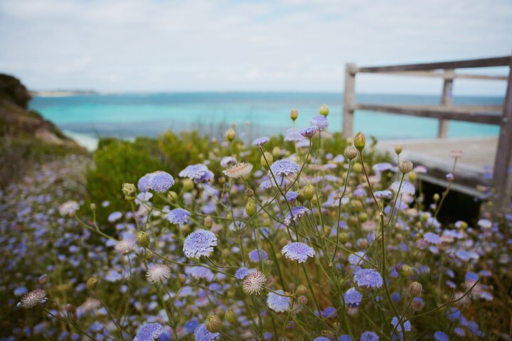 Rottnest Island Grand Tour Including Lunch and Historical Train Ride