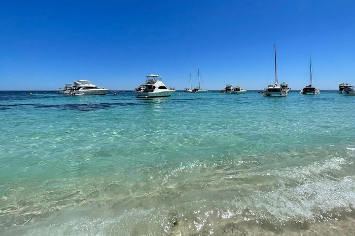 Rottnest Island Roundtrip Fast Ferry from Hillarys Boat Harbour