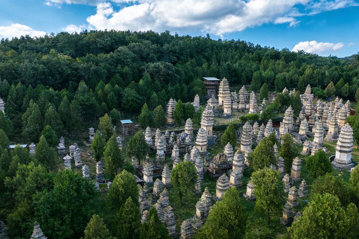 All Inclusive Luoyang Private Day Tour to Shaolin Temple and Longmen Grottoes