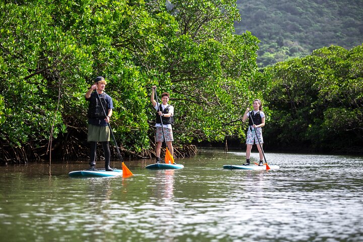 Ishigaki Mangrove Canoe or SUP & Taketomi Island Exploration