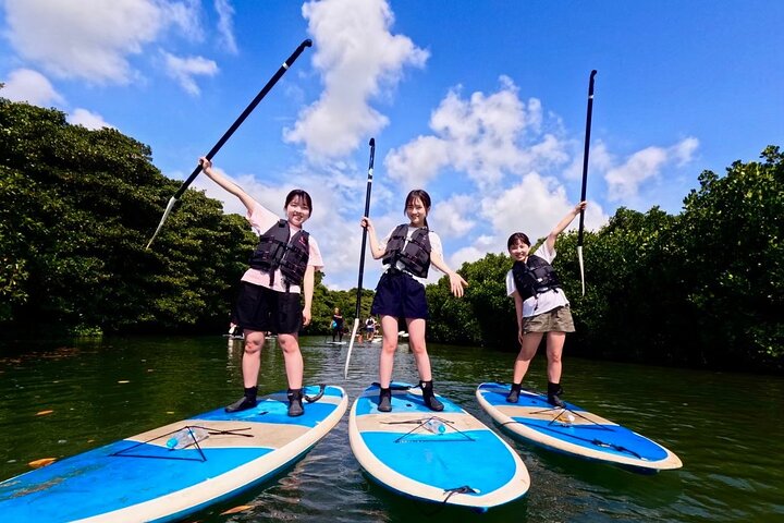 Ishigaki Mangrove Canoe or SUP & Taketomi Island Exploration
