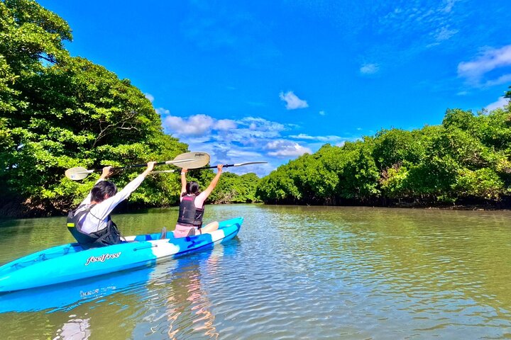 Ishigaki Mangrove Canoe or SUP & Taketomi Island Exploration